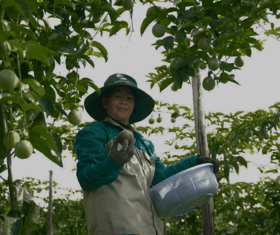 Farming Zone